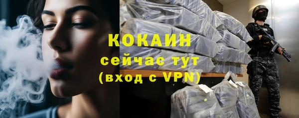 шишки Нефтегорск