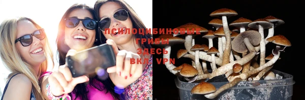 марки lsd Нея