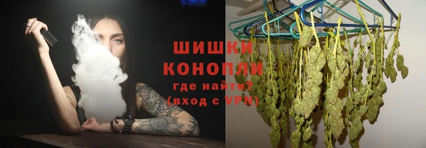 мдпв Новозыбков