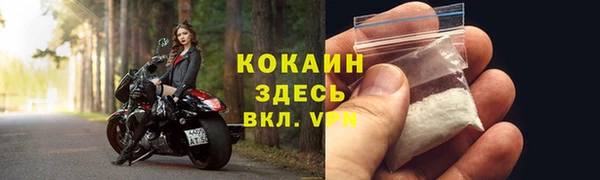 мяу мяу мука Новодвинск