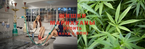 мдпв Новозыбков