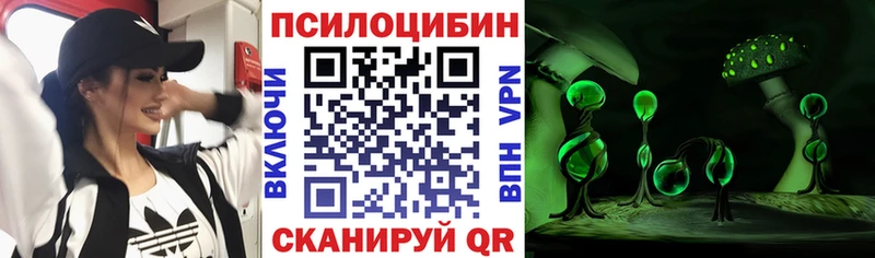 Псилоцибиновые грибы мицелий  наркота  Ессентуки 