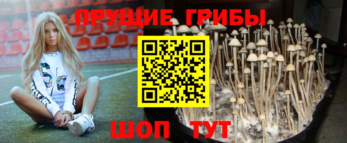 сколько стоит  Ессентуки  Псилоцибиновые грибы Magic Shrooms  Галлюциногенные грибы прущие грибы 