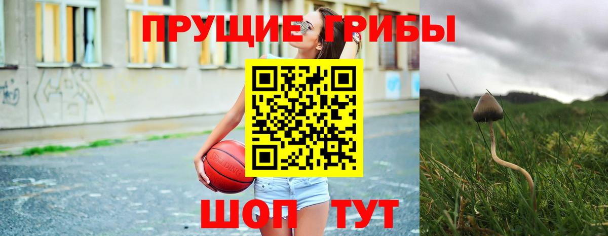 Галлюциногенные грибы Magic Shrooms Ессентуки