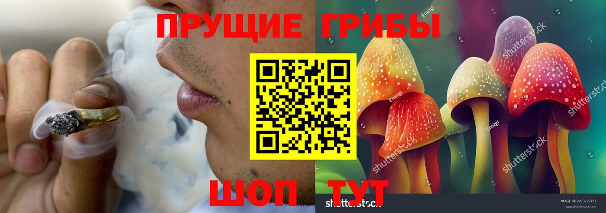 Галлюциногенные грибы Magic Shrooms Ессентуки