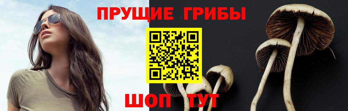 Codein Ессентуки